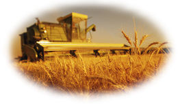 combine1